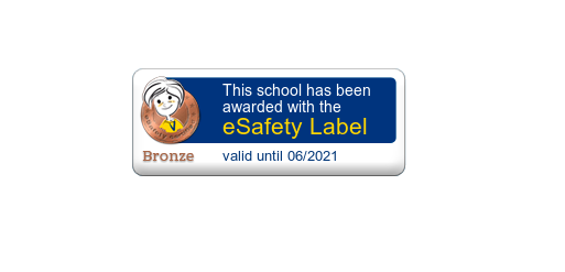 Bronze Safety Label